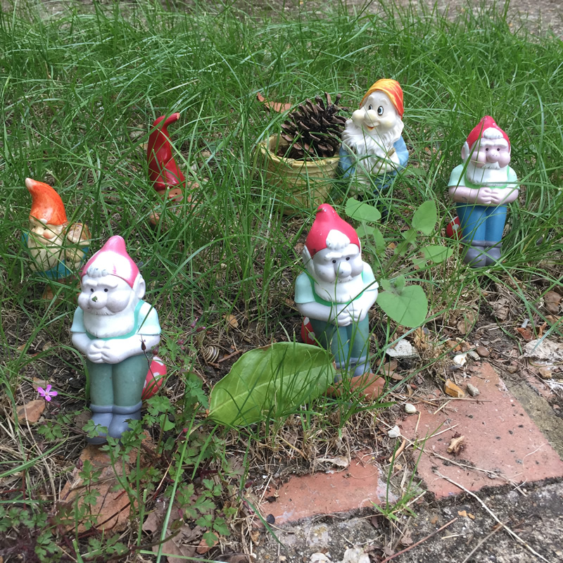 The Sub-Gnomery