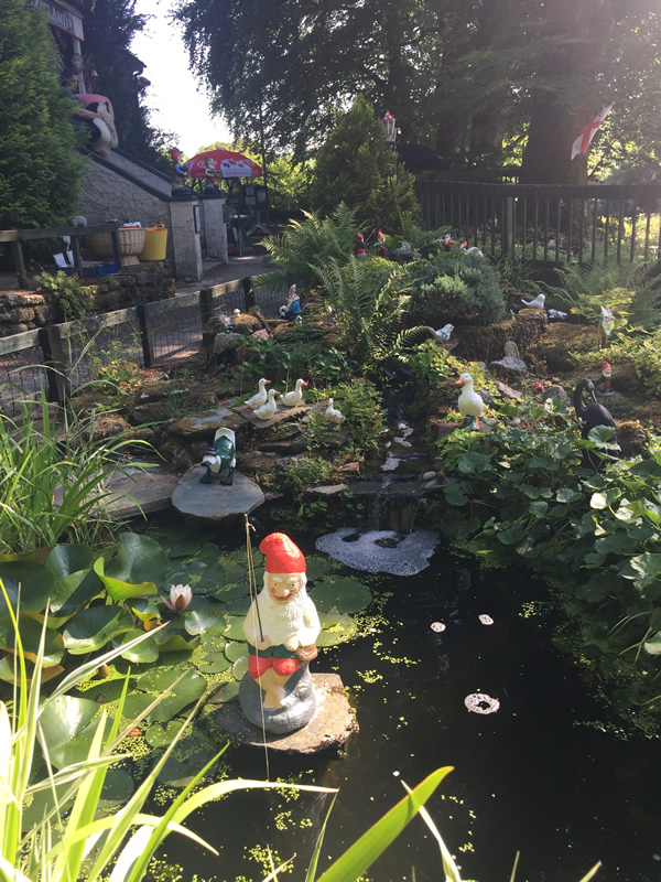 Pixie Land