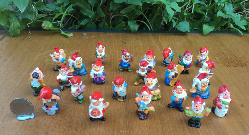 The Micro-Gnomery