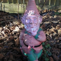 mr gnome